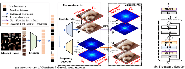 Figure 3 for The Devil is in the Frequency: Geminated Gestalt Autoencoder for Self-Supervised Visual Pre-Training