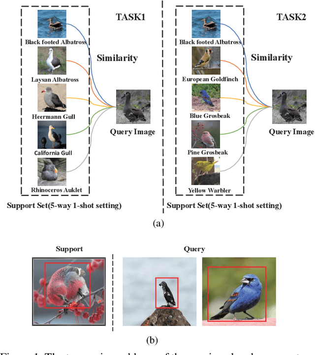 Figure 1 for Multi-scale Adaptive Task Attention Network for Few-Shot Learning