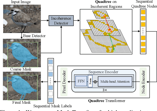 Figure 1 for Mask Transfiner for High-Quality Instance Segmentation