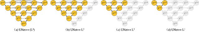 Figure 2 for UNet++: Redesigning Skip Connections to Exploit Multiscale Features in Image Segmentation