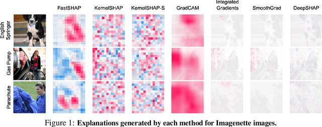 Figure 1 for FastSHAP: Real-Time Shapley Value Estimation