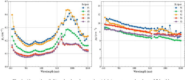 Figure 1 for Initial non-invasive in vivo sensing of the lung using time domain diffuse optics