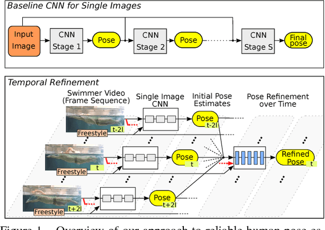 Figure 1 for Activity-conditioned continuous human pose estimation for performance analysis of athletes using the example of swimming