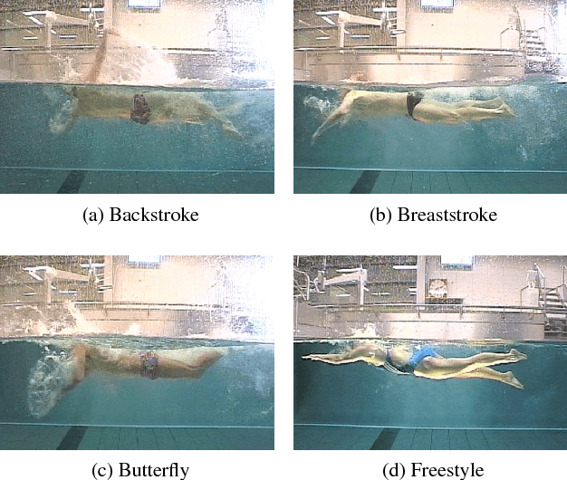 Figure 3 for Activity-conditioned continuous human pose estimation for performance analysis of athletes using the example of swimming