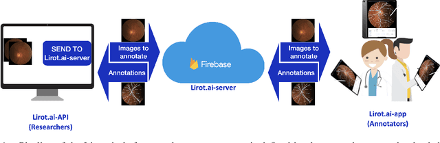 Figure 1 for Lirot.ai: A Novel Platform for Crowd-Sourcing Retinal Image Segmentations