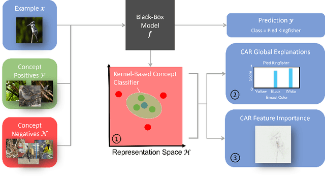 Figure 1 for Concept Activation Regions: A Generalized Framework For Concept-Based Explanations