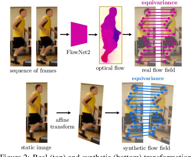 Figure 2 for Slim DensePose: Thrifty Learning from Sparse Annotations and Motion Cues