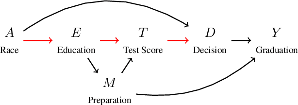 Figure 1 for Causal Conceptions of Fairness and their Consequences