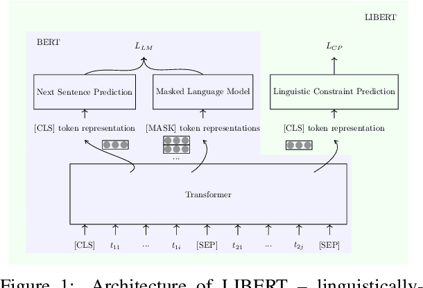 Figure 1 for Informing Unsupervised Pretraining with External Linguistic Knowledge