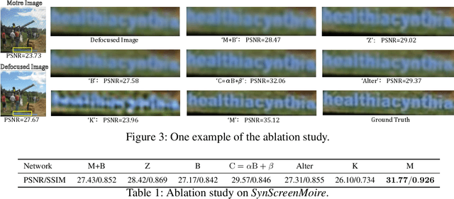 Figure 2 for Self-Adaptively Learning to Demoire from Focused and Defocused Image Pairs