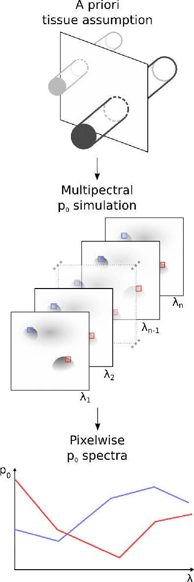 Figure 1 for Estimation of blood oxygenation with learned spectral decoloring for quantitative photoacoustic imaging (LSD-qPAI)