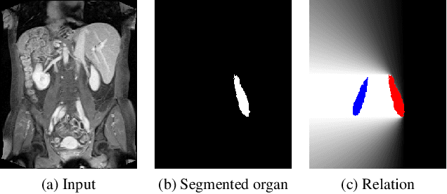 Figure 4 for A New Approach for Explainable Multiple Organ Annotation with Few Data