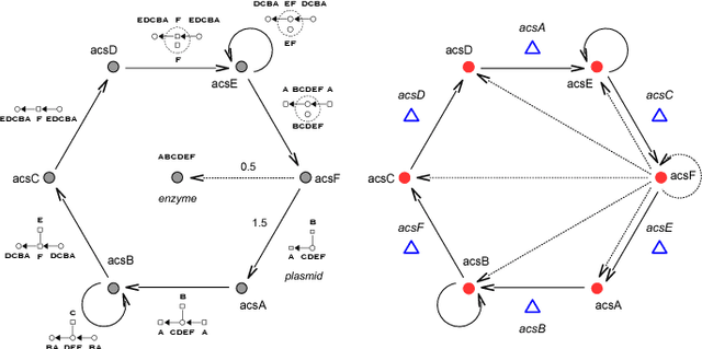 Figure 3 for Towards Complex Artificial Life