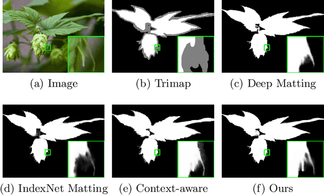 Figure 1 for Hierarchical Opacity Propagation for Image Matting