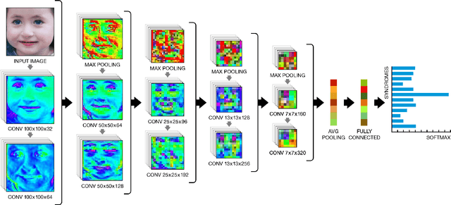 Figure 2 for DeepGestalt - Identifying Rare Genetic Syndromes Using Deep Learning