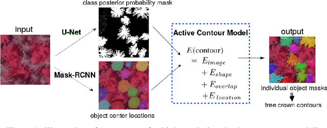 Figure 1 for A hybrid convolutional neural network/active contour approach to segmenting dead trees in aerial imagery