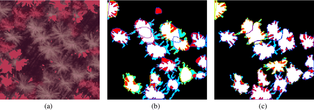 Figure 4 for A hybrid convolutional neural network/active contour approach to segmenting dead trees in aerial imagery