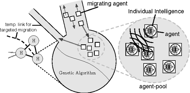 Figure 2 for Digital Ecosystems: Self-Organisation of Evolving Agent Populations