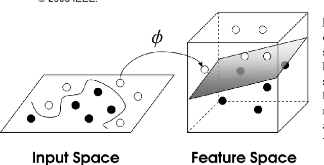 Figure 4 for Digital Ecosystems: Self-Organisation of Evolving Agent Populations