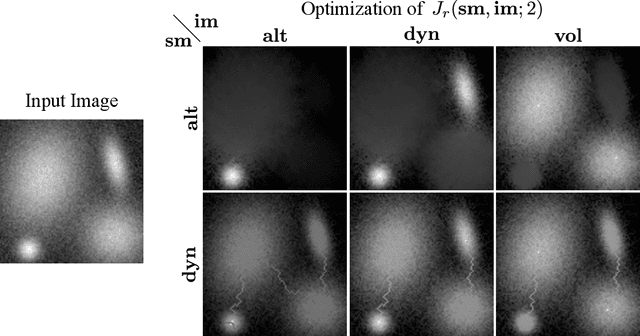 Figure 3 for Component Tree Loss Function: Definition and Optimization