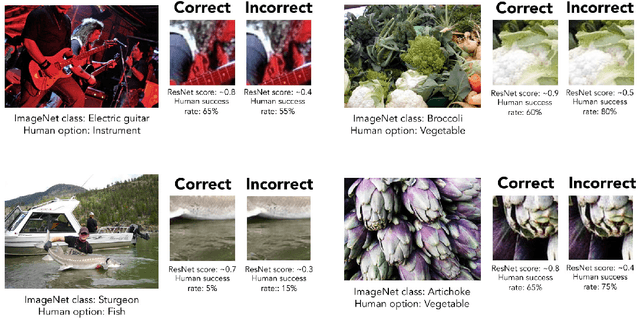 Figure 2 for Minimal Images in Deep Neural Networks: Fragile Object Recognition in Natural Images
