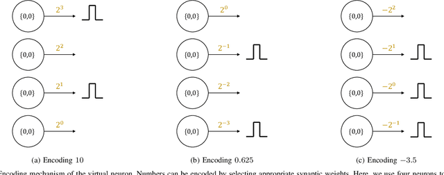 Figure 1 for Encoding Integers and Rationals on Neuromorphic Computers using Virtual Neuron