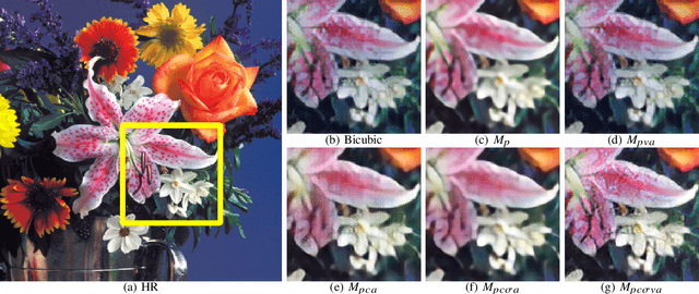 Figure 4 for Enhancing Perceptual Loss with Adversarial Feature Matching for Super-Resolution