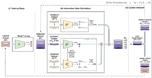 Figure 1 for Information Gain Sampling for Active Learning in Medical Image Classification