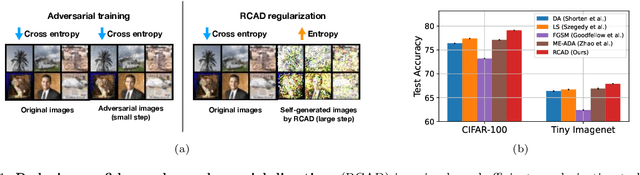 Figure 1 for Adversarial Unlearning: Reducing Confidence Along Adversarial Directions