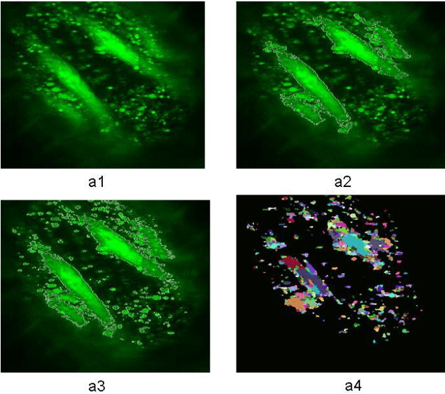 Figure 2 for An Enhancement Neighborhood connected Segmentation for 2D-Cellular Image
