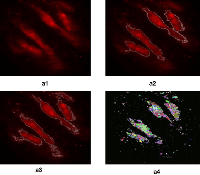 Figure 3 for An Enhancement Neighborhood connected Segmentation for 2D-Cellular Image