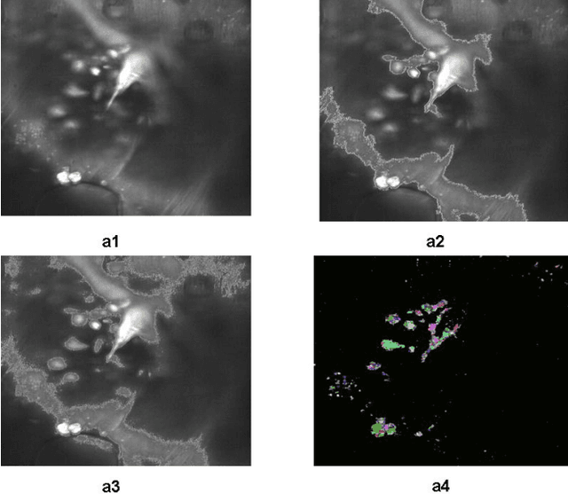 Figure 4 for An Enhancement Neighborhood connected Segmentation for 2D-Cellular Image