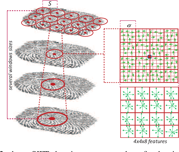 Figure 2 for Fingerprint Presentation Attack Detection Based on Local Features Encoding for Unknown Attacks