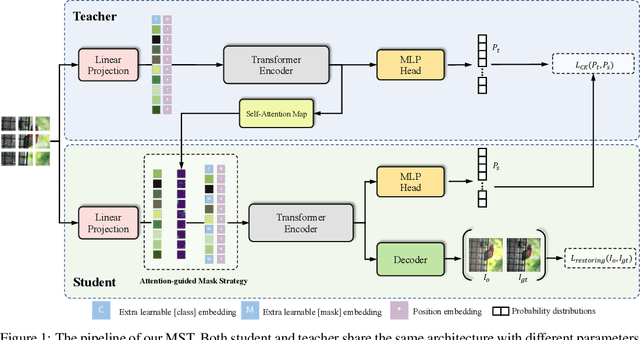 Figure 1 for MST: Masked Self-Supervised Transformer for Visual Representation