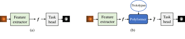 Figure 1 for Few-Shot Domain Adaptation with Polymorphic Transformers