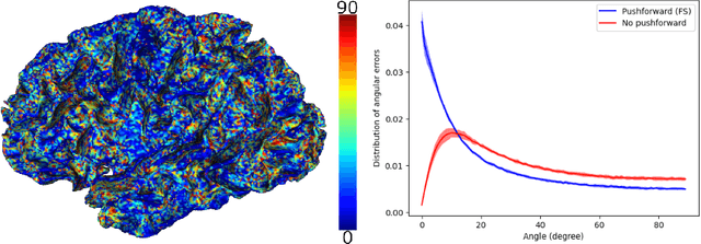 Figure 2 for Comparing vector fields across surfaces: interest for characterizing the orientations of cortical folds