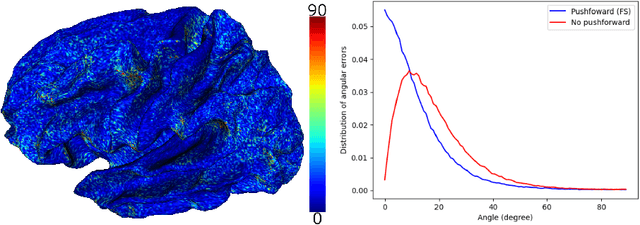 Figure 3 for Comparing vector fields across surfaces: interest for characterizing the orientations of cortical folds