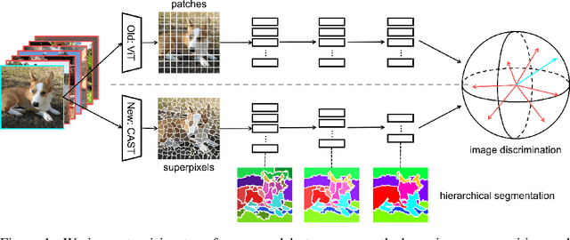 Figure 1 for CAST: Concurrent Recognition and Segmentation with Adaptive Segment Tokens