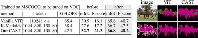 Figure 4 for CAST: Concurrent Recognition and Segmentation with Adaptive Segment Tokens