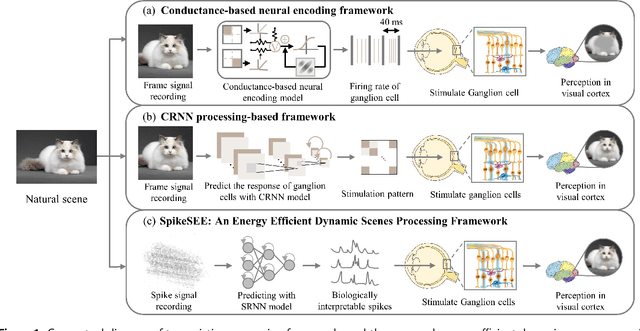 Figure 1 for SpikeSEE: An Energy-Efficient Dynamic Scenes Processing Framework for Retinal Prostheses