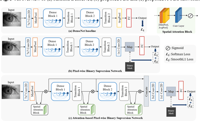 Figure 1 for Intra and Cross-spectrum Iris Presentation Attack Detection in the NIR and Visible Domains Using Attention-based and Pixel-wise Supervised Learning