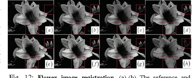 Figure 4 for Local Structure Matching Driven by Joint-Saliency-Structure Adaptive Kernel Regression