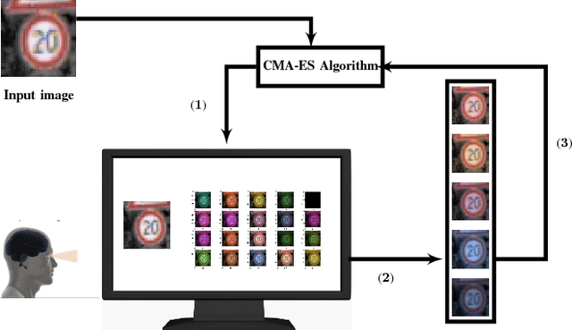 Figure 1 for Perception-in-the-Loop Adversarial Examples