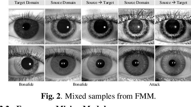 Figure 3 for Few-shot One-class Domain Adaptation Based on Frequency for Iris Presentation Attack Detection