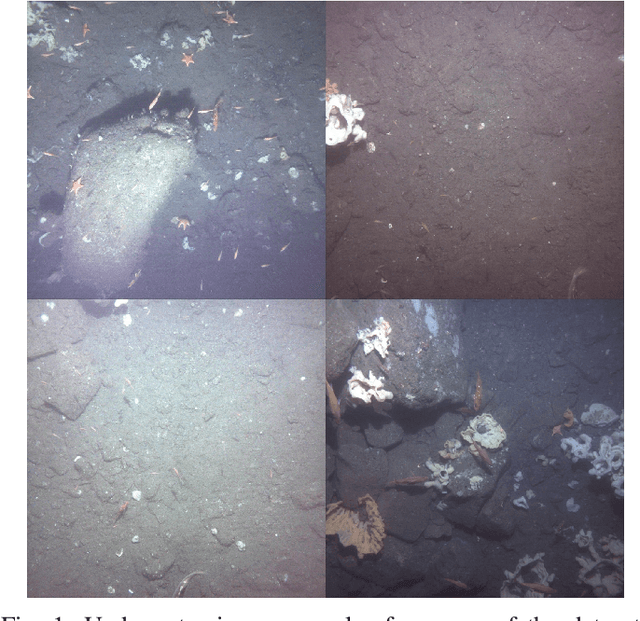 Figure 1 for An Iterative Labeling Method for Annotating Fisheries Imagery