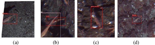 Figure 3 for An Iterative Labeling Method for Annotating Fisheries Imagery