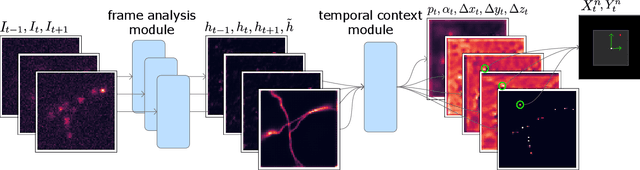 Figure 3 for Teaching deep neural networks to localize sources in super-resolution microscopy by combining simulation-based learning and unsupervised learning