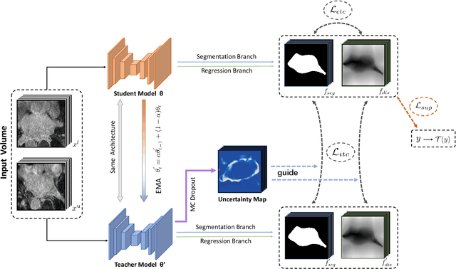 Figure 1 for Uncertainty-Guided Mutual Consistency Learning for Semi-Supervised Medical Image Segmentation