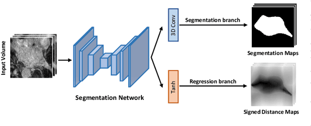 Figure 2 for Uncertainty-Guided Mutual Consistency Learning for Semi-Supervised Medical Image Segmentation