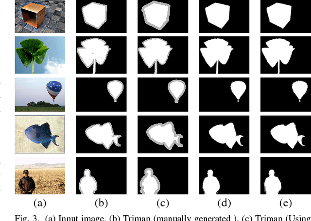 Figure 3 for Automatic Trimap Generation for Image Matting